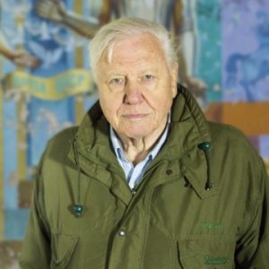 Royal Albert Hall to broadcast David Attenborough: A life on our planet