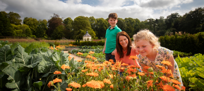 Hillsborough Castle gardens reopen