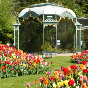 Tulips in Aviary garden, Mike Buffin (c) Waddesdon, A Rothschild House & Gardens