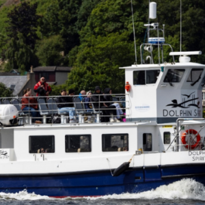 Inverness Dolphin Cruises