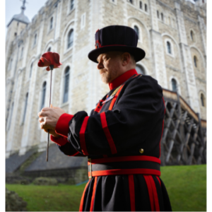 Historic Royal Palaces Poppy Display